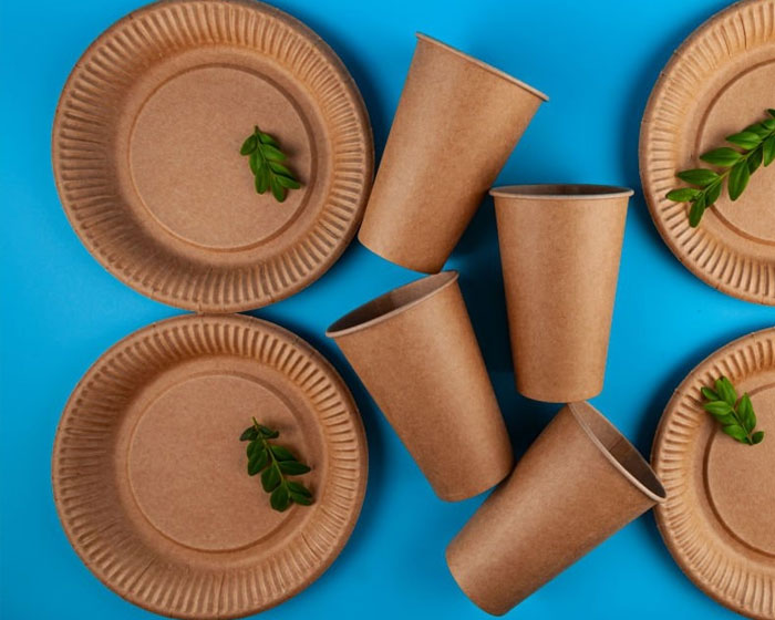 کدام یک بهداشتی تر است؟ لیوان کاغذی یا گیاهی؟