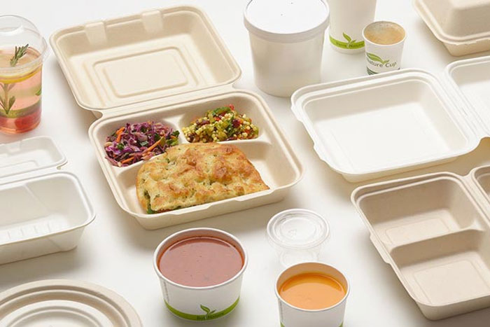 نکات مهم هنگام خرید و سفارش انواع ظروف یکبار مصرف