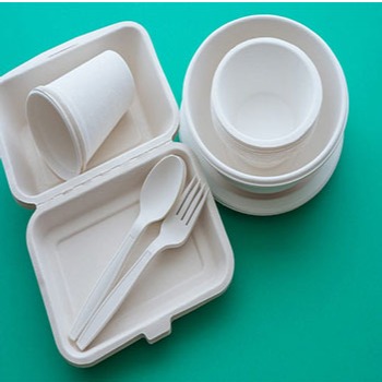 دلیل ایجاد بوی بد در ظرف‌های یکبار مصرف