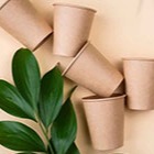 تاثیر استفاده از لیوان کاغذی در حفظ محیط زیست