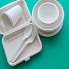 دلیل ایجاد بوی بد در ظرف‌های یکبار مصرف